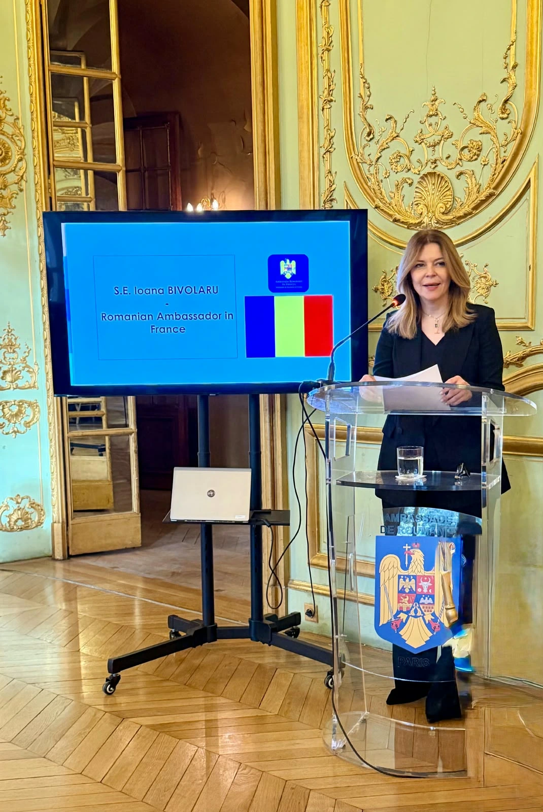 E.S. Ioana Bivolaru, Ambasadorul Rom&acirc;niei &icirc;n Republica Franceză