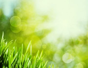 Scrisoare deschisa Euractiv: Industria nucleara este pregatita pentru a participa la revenirea economica a Europei